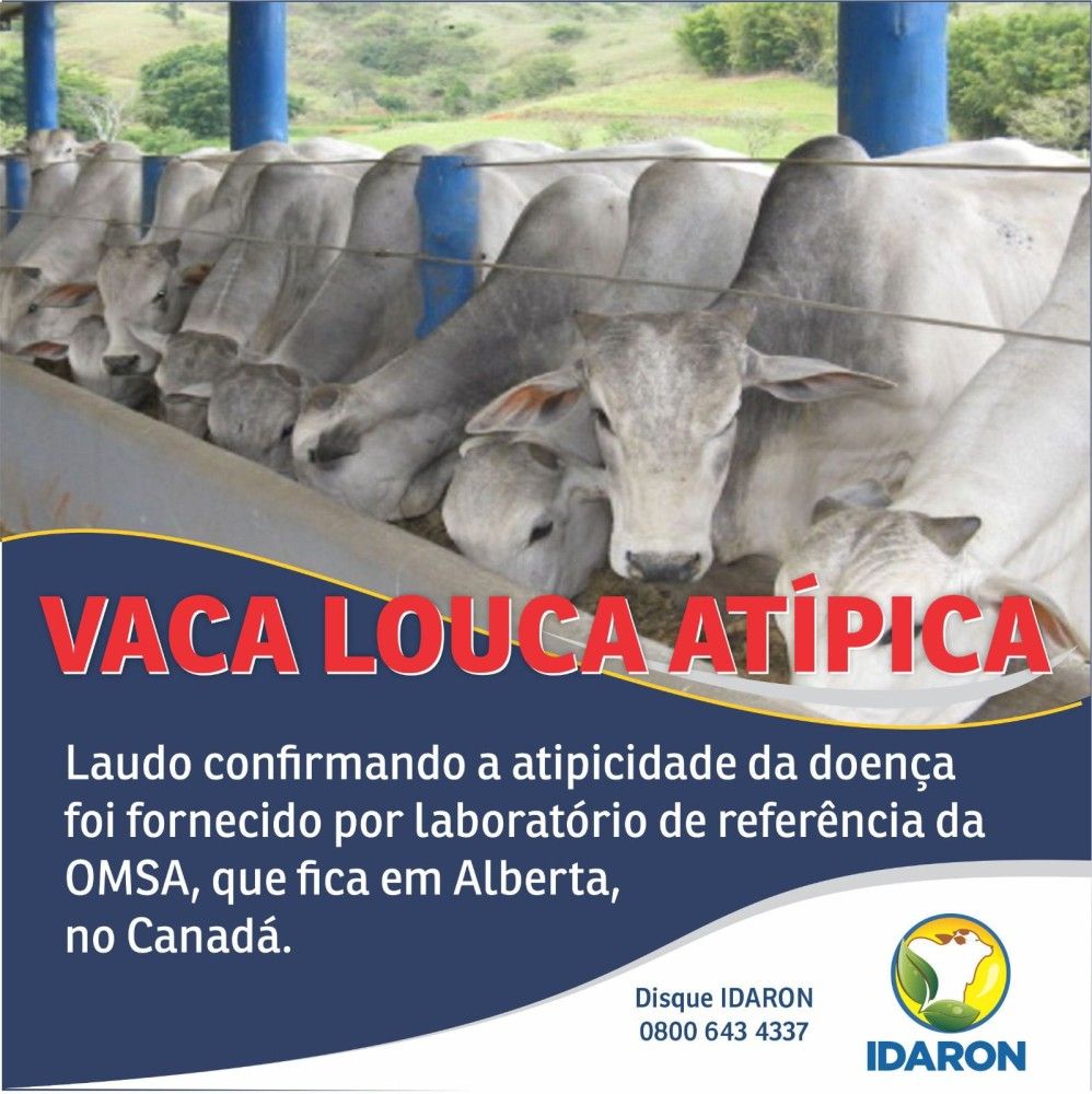 OPERAÇÃO VACA LOCA