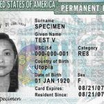 Pedidos de green card aumentam 28% entre os brasileiros